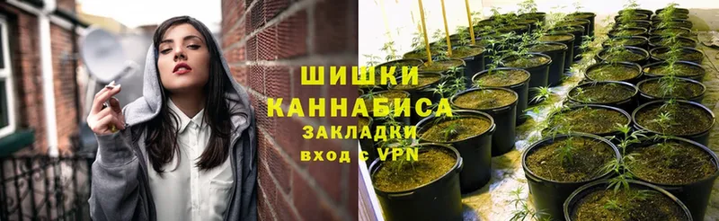 Бошки Шишки Bruce Banner  Голицыно 